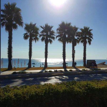 Appartamento Loft B&B Cecilia Porto SantʼElpidio エクステリア 写真